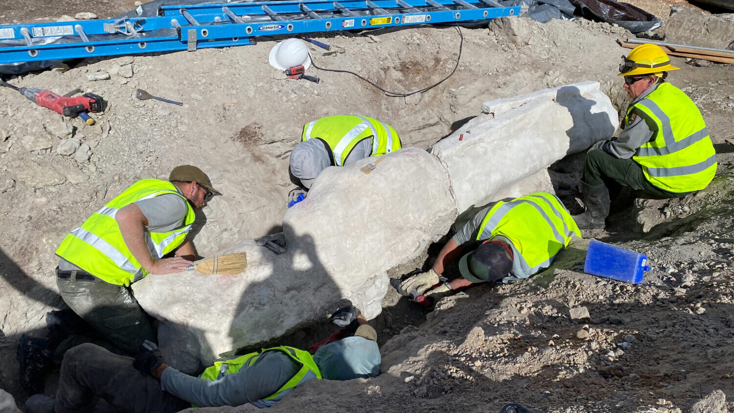 Five people in yellow safety vests work around a large plastered coated rock containing dinosaur fo...