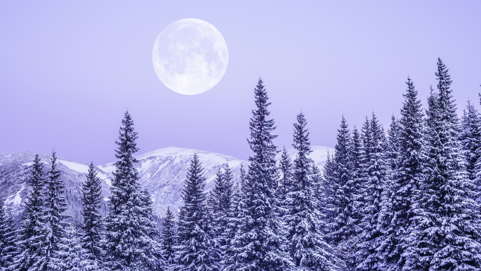 A white moon is seen in a light purple sky with a forest of snowy pine trees below.
