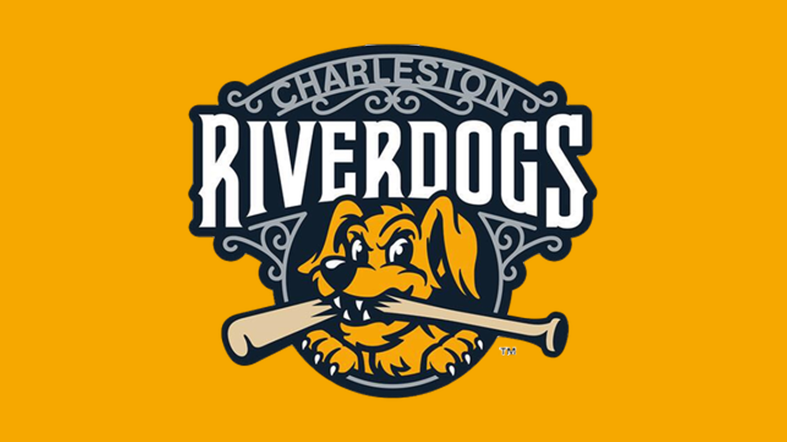 Charleston Riverdogs logo