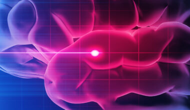 Peptide Treatment Protects Brains After Stroke, Mouse Study Finds : ScienceAlert