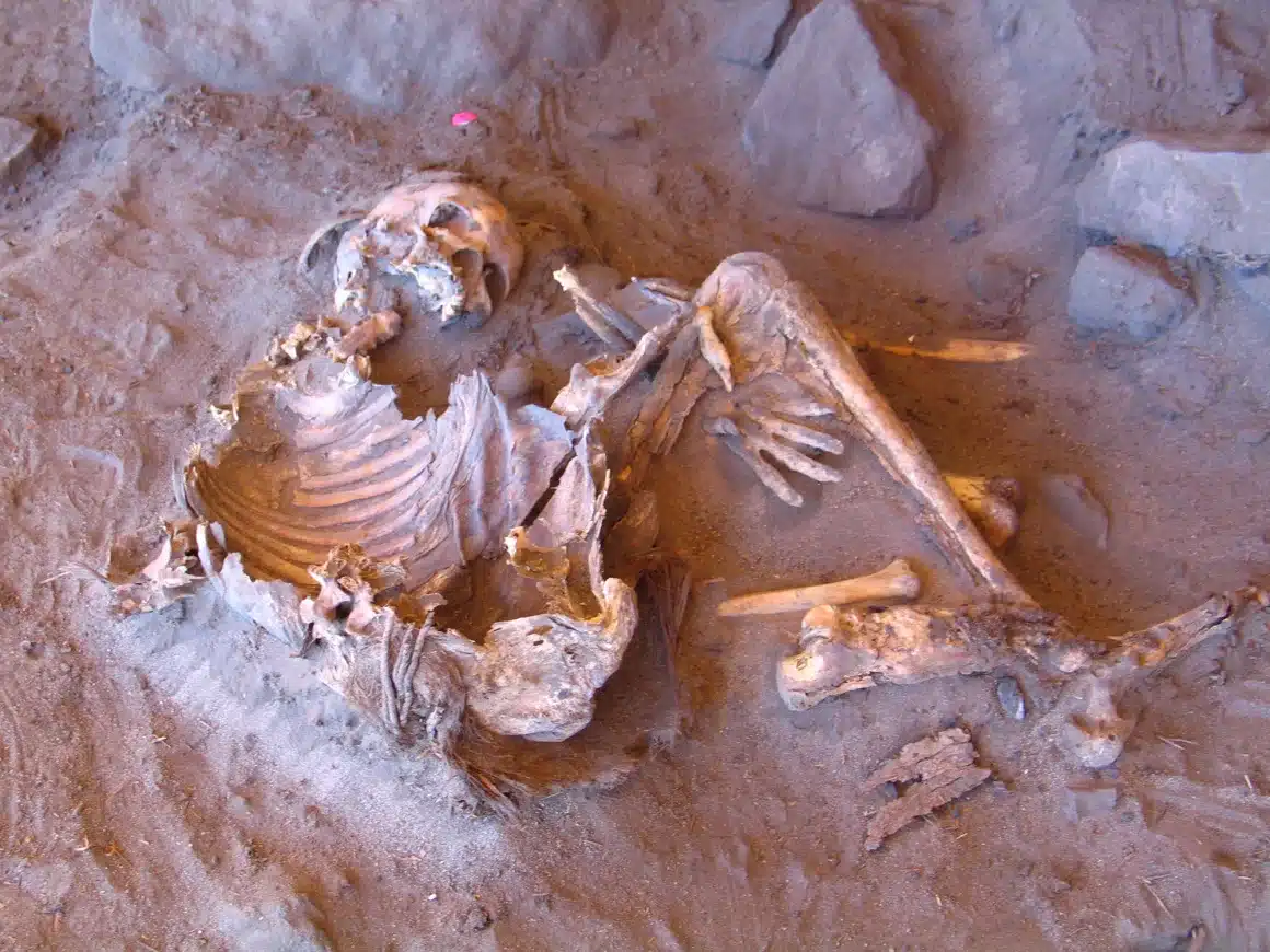 Researchers Analyzed Samples From The Mummified Remains Of Two Women Dating Back 7,000 Years