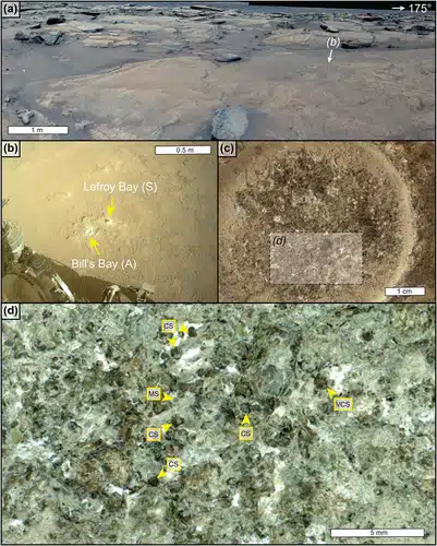 Rover And Close Up Views Of Jezero Sediments, Showing Mineral Rich Deposits Linked To Long Lasting Water Activity.