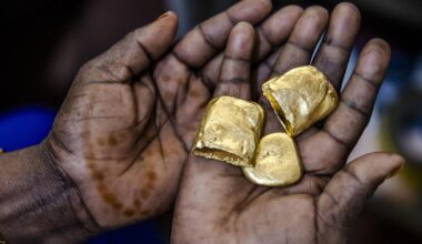 Top 10 African country with the highest gold and foreign exchange reserves at the start of 2026