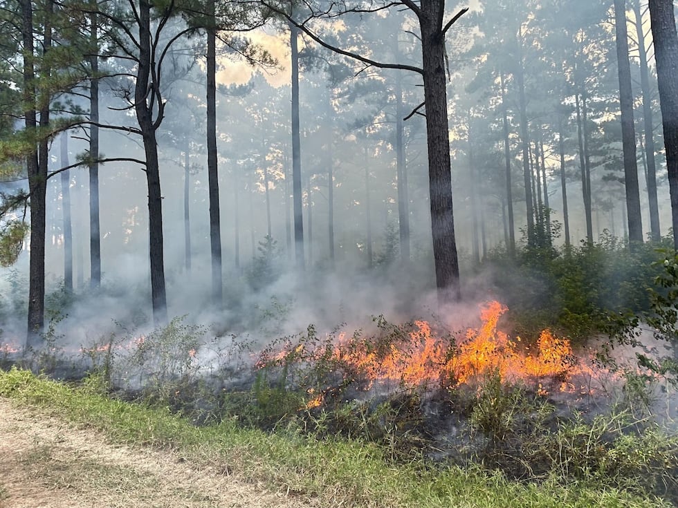 The Arkansas Game and Fish Commission is accepting applications to reimburse landowners for...