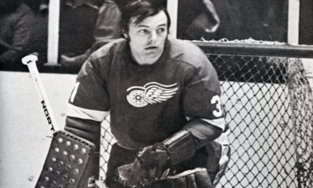 Andy Brown Red Wings