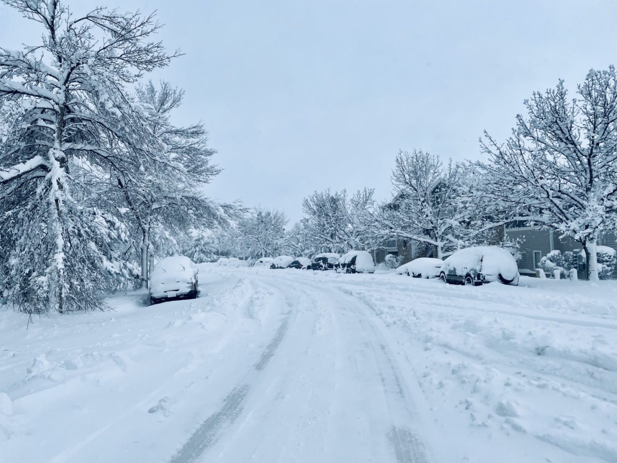 NWS & MoDOT hosting live stream ahead of winter storm – Daily Journal Online