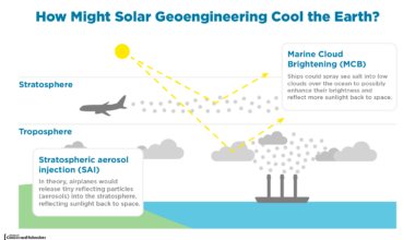 Geoengineering The Ocean — What Could Possibly Go Wrong?