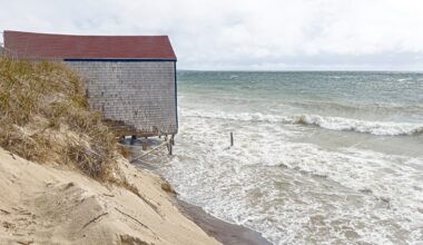 Bluff-Dwellers Seek Erosion Prevention Experiment