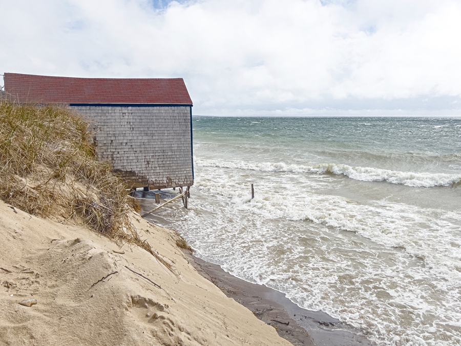 Bluff-Dwellers Seek Erosion Prevention Experiment