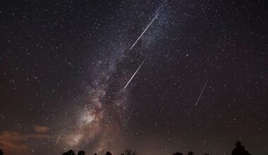 The Brightest Meteor Shower of 2026 Will Peak Under a Moonless Sky—Here’s When to Watch