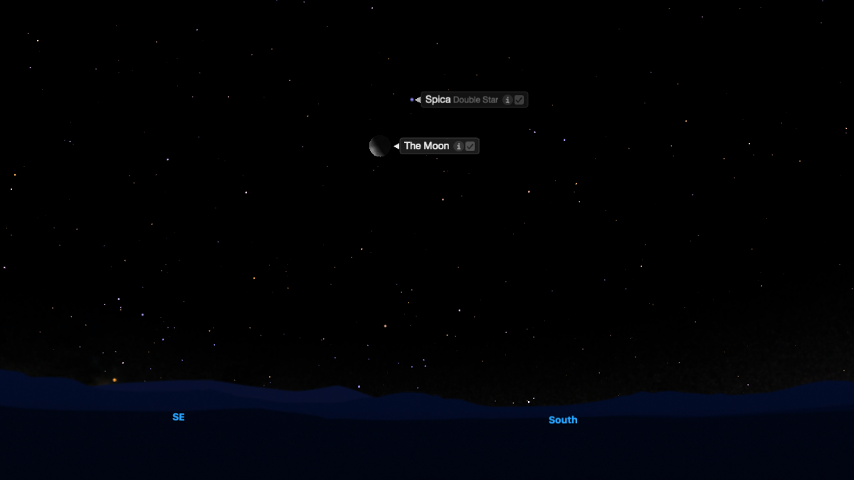 A simulation of the night sky for Jan. 10-11 showing the waning crescent moon shining above the southeastern horizon with the position of the bright star Spica close to its upper right.