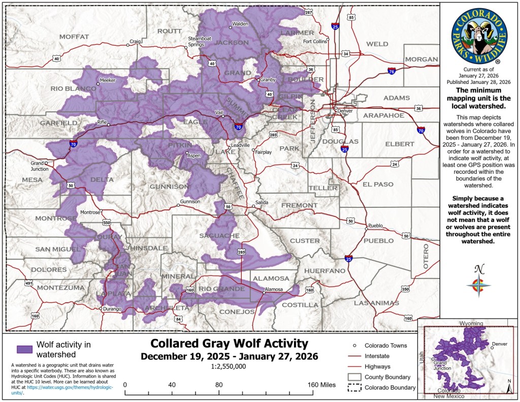 Colorado wolves move back into southwestern part of state, map shows