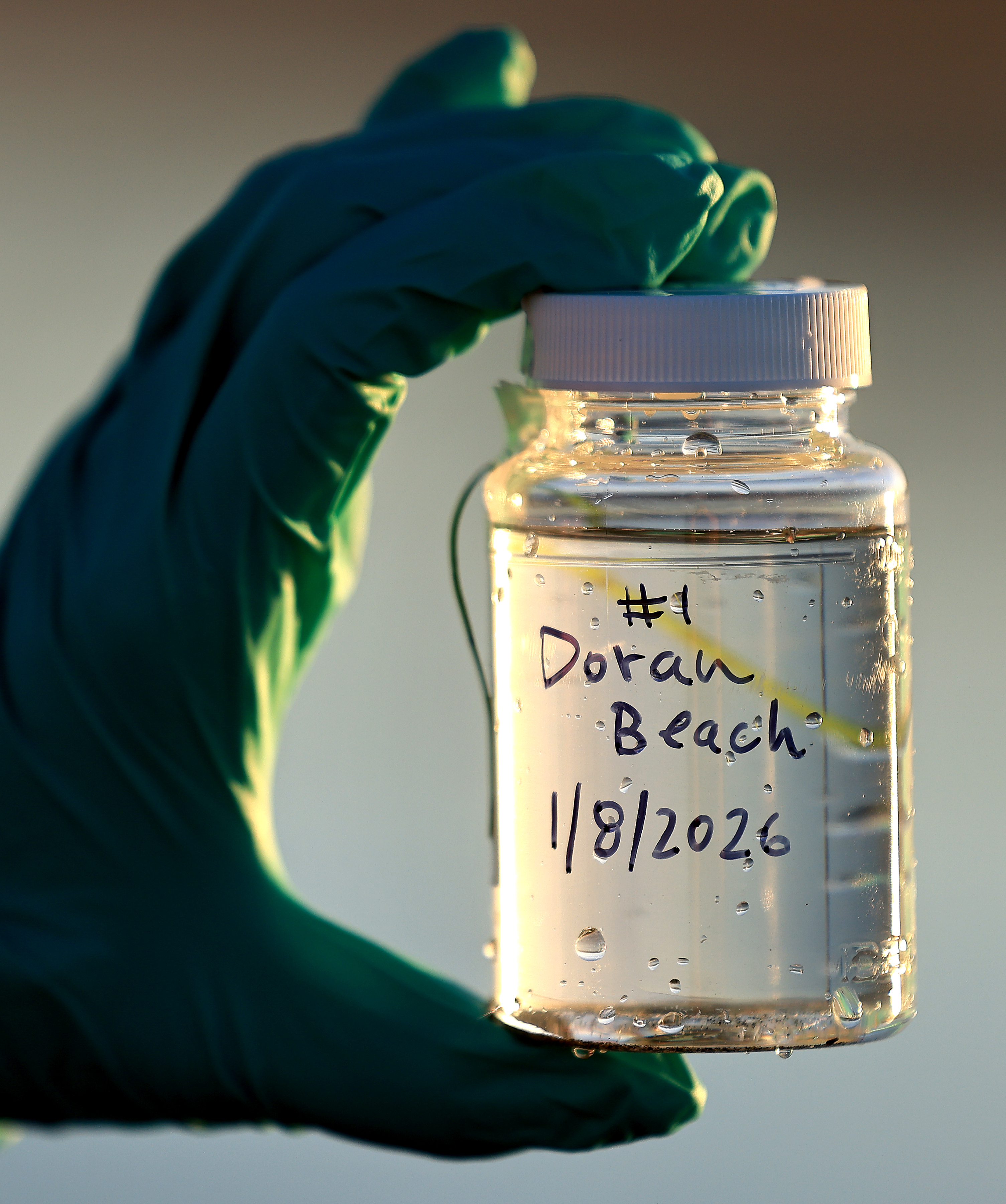 A sample from taken by Ellyse Cappellano, county environment health...