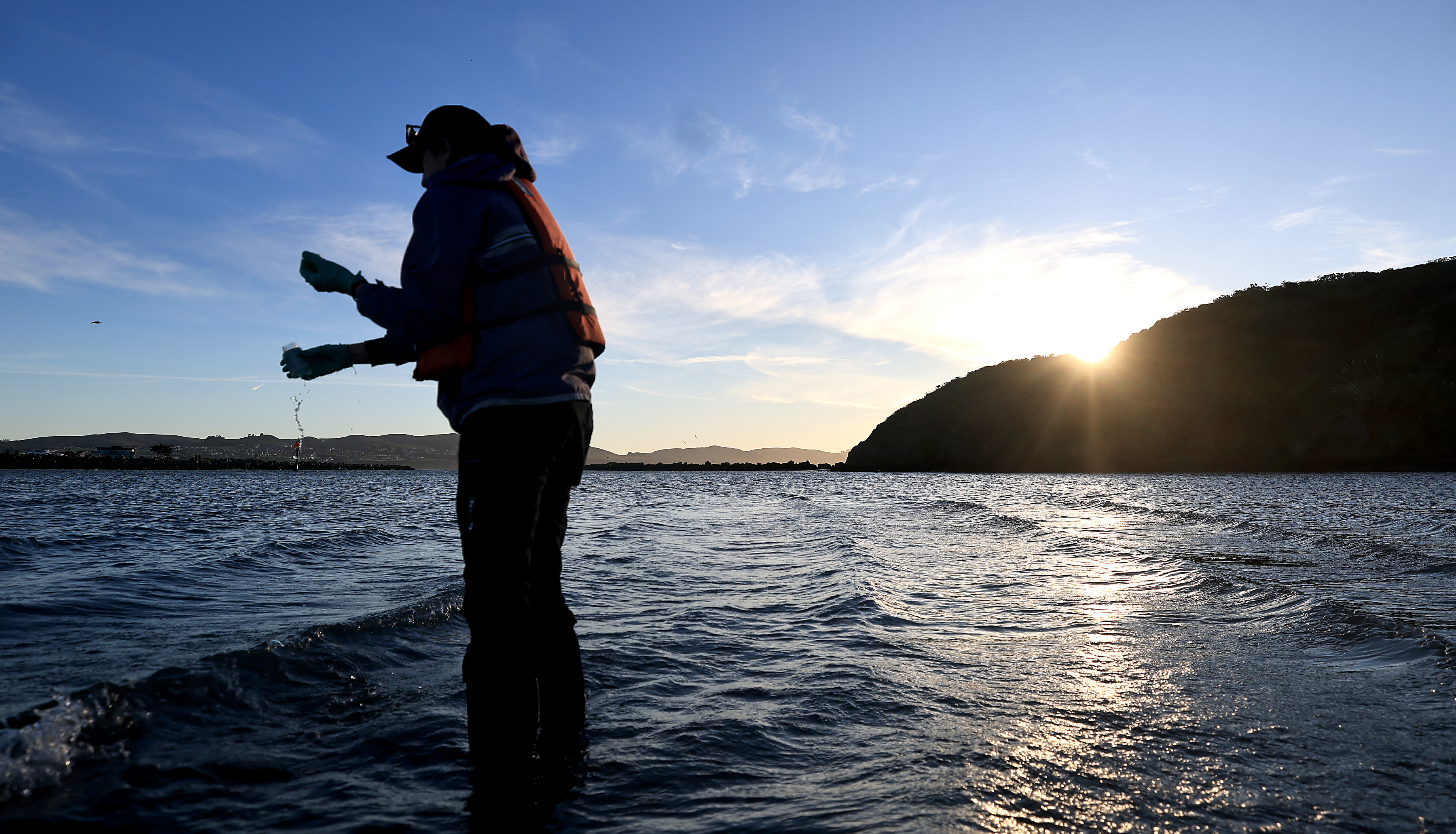 Ellyse Cappellano, county environment health specialist, takes a sample of...