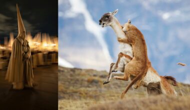 Travel Photographer of the Year Inspires Wanderlust