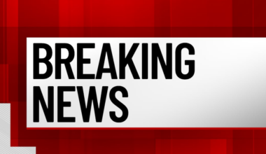 5-year-old girl, man die after falling into icy Clinton County pond