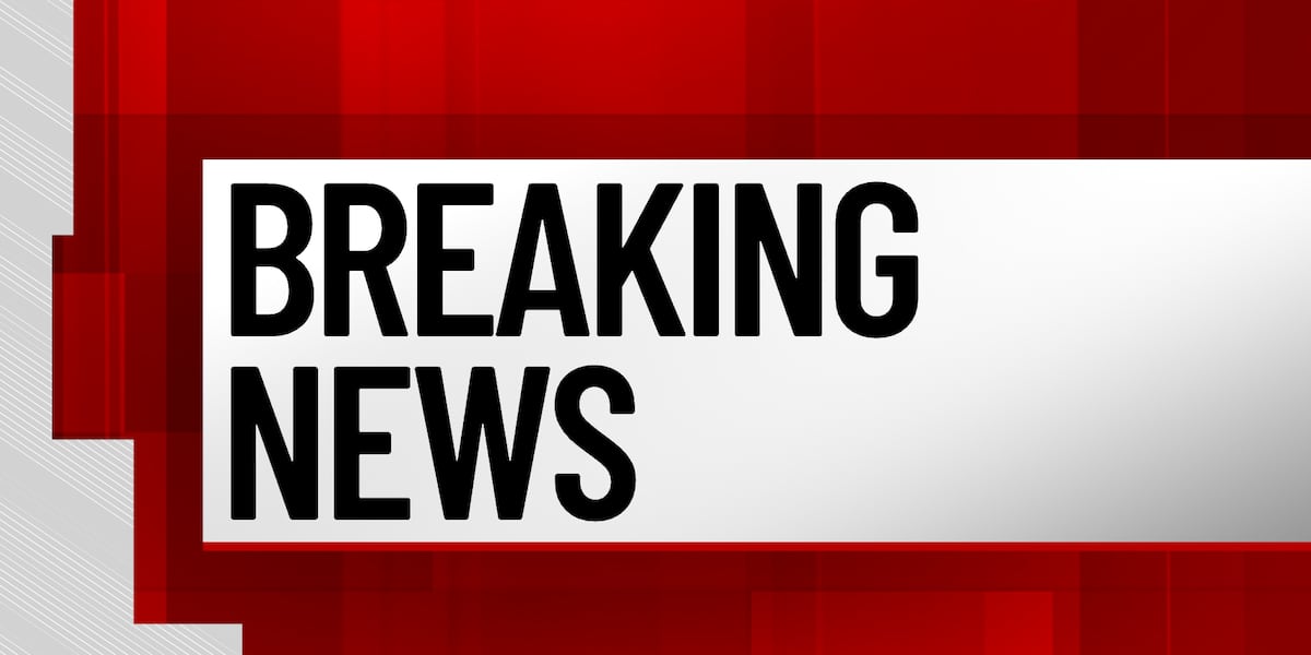 5-year-old girl, man die after falling into icy Clinton County pond