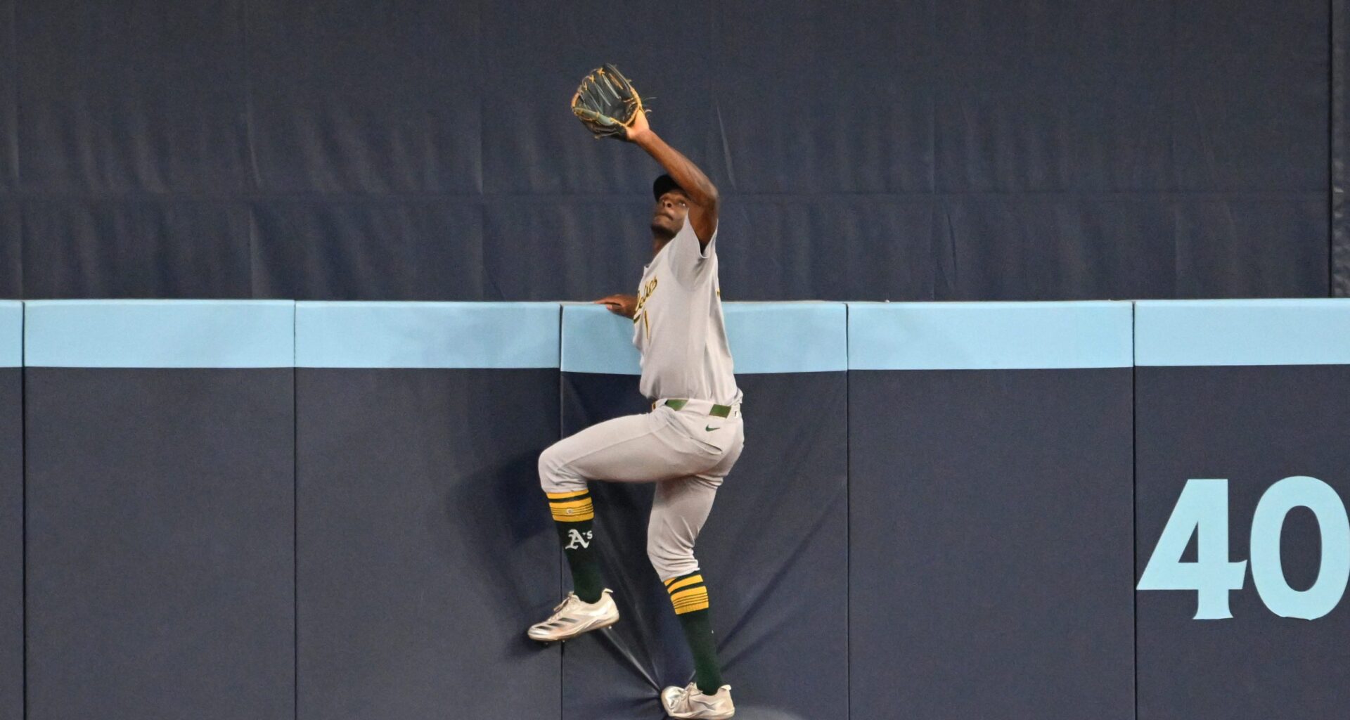 Best of BP 2025: The Spider Problem