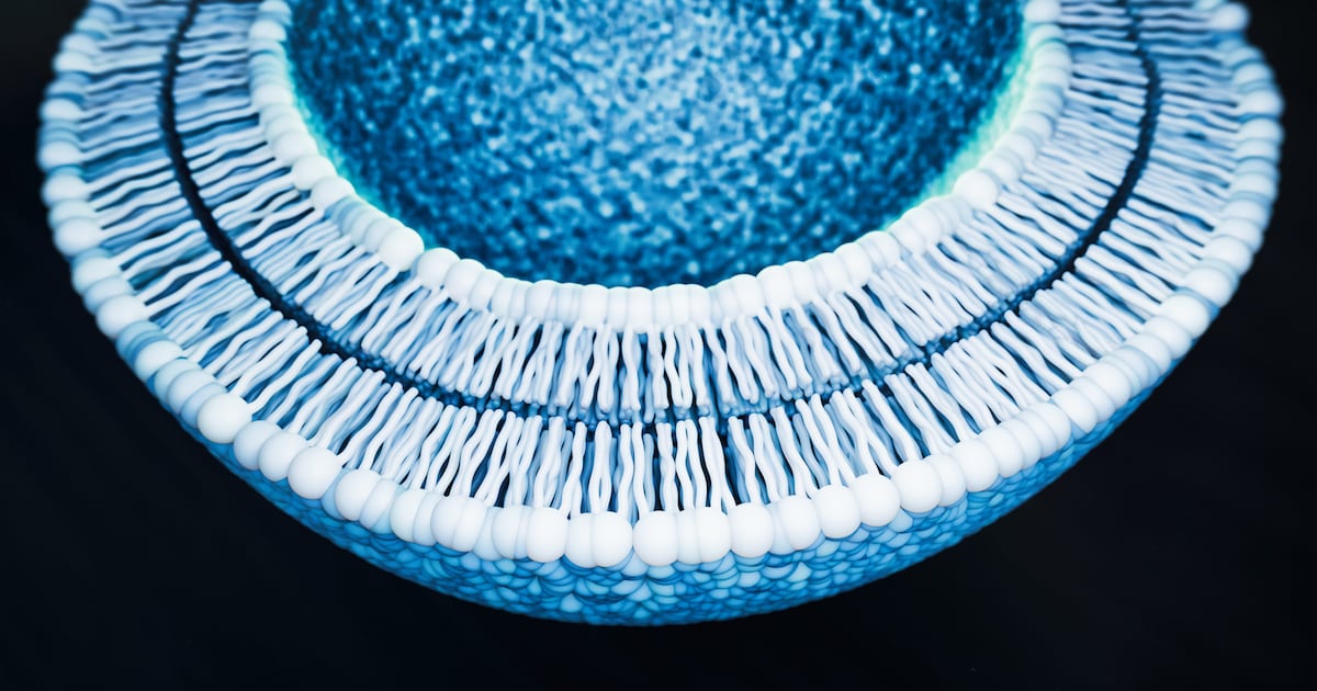 Sibelius and LipoActive launch heat-free liposomal platform