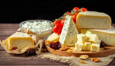 Is High-Fat Cheese Actually Good for Your Brain?