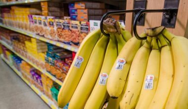 Health Department releases new dietary guidelines with inverted food pyramid