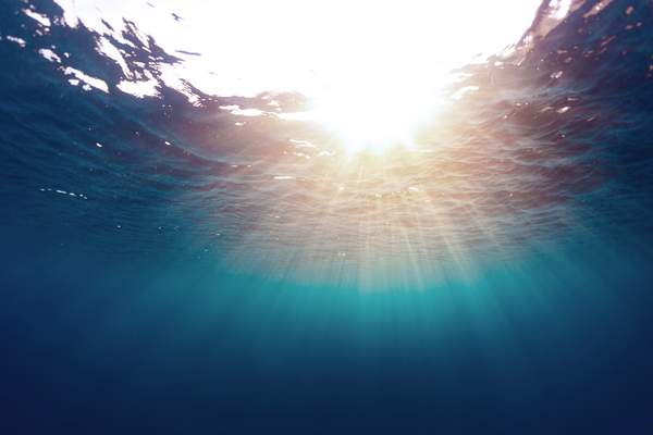 EPA and Army Corps Propose Narrower Definition of “Waters of the United States”