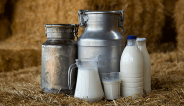 Why Whole Milk Is Back in Schools and How We Got Here