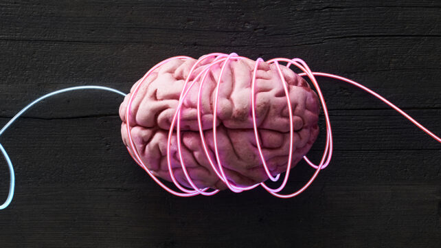 Wired brain