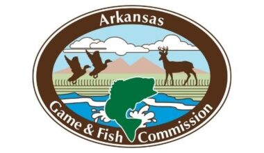 Twin Lakes area WMAs included in statewide feral hog control effort