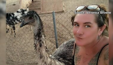 Another emu goes missing in southern Arizona