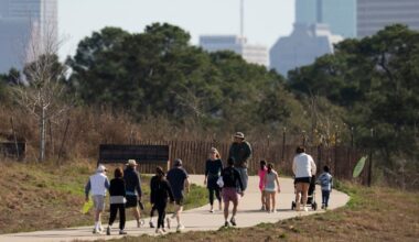 Most and Leave Physically Active States Revealed