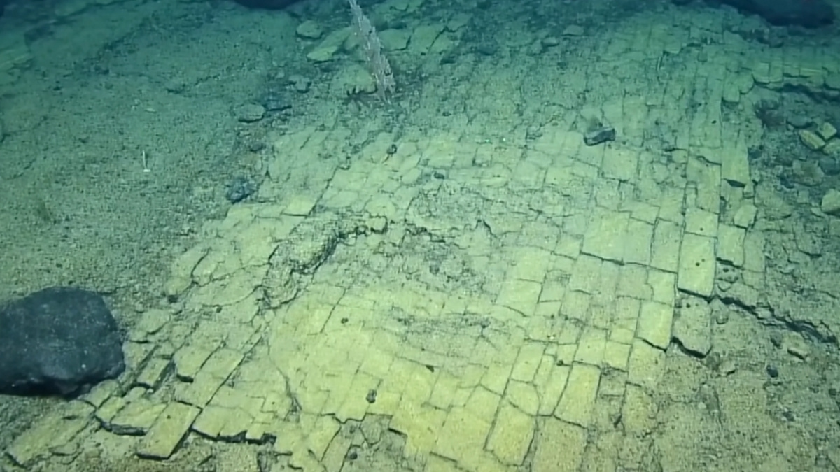 Scientists Found a 'Yellow Brick Road' at The Bottom of The Ocean : ScienceAlert