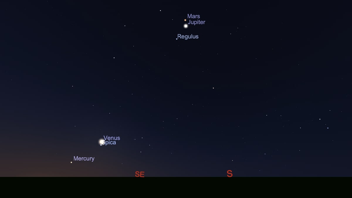 A purple night sky is full of labeled dots, with Mars, Jupiter and Regulus close together toward the top center of the image and Mercury, Venus and Spica toward the bottom left of the image