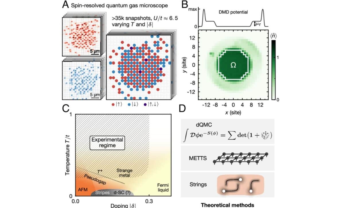 (a) Snapshots From A Quantum Gas Microscope Showing Spin And Charge. (b) Atomic Density In The Central Region Used For Analysis. (c) Phase Diagram Highlighting The Explored Pseudogap Regime. (d) T