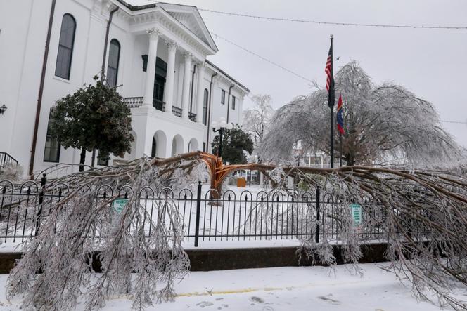Snow and ice fell trees as a winter storm sweeps the United States. In Oxford, Mississippi, on Sunday, January 25, 2026.