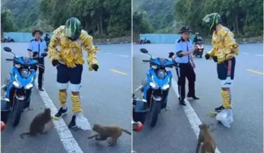 Subscribe Placeholder