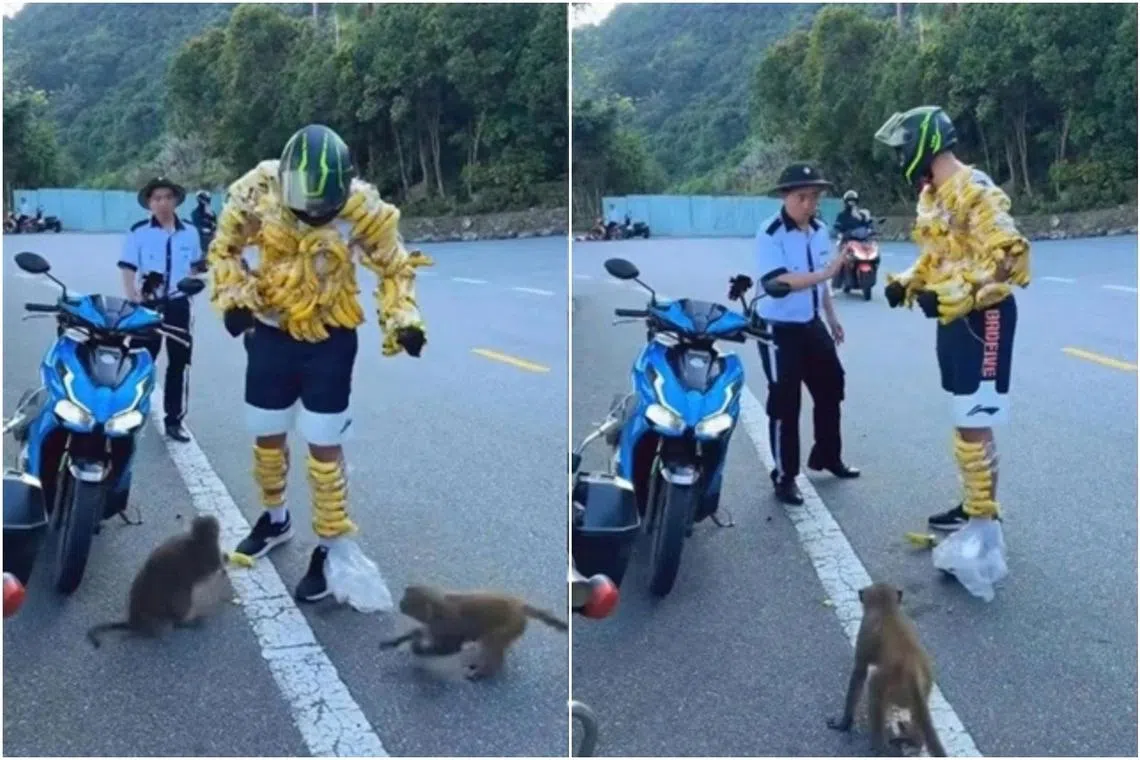 Subscribe Placeholder