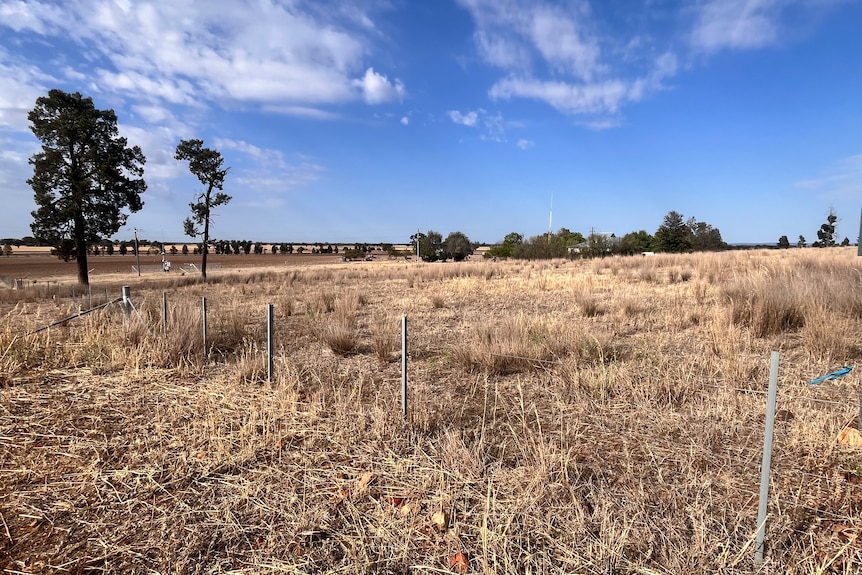 Plot of land with a metal fence and overgrown grass.