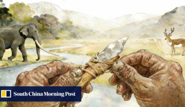 Composite tool find puts China at centre of tech revolution up to 160,000 years ago: paper