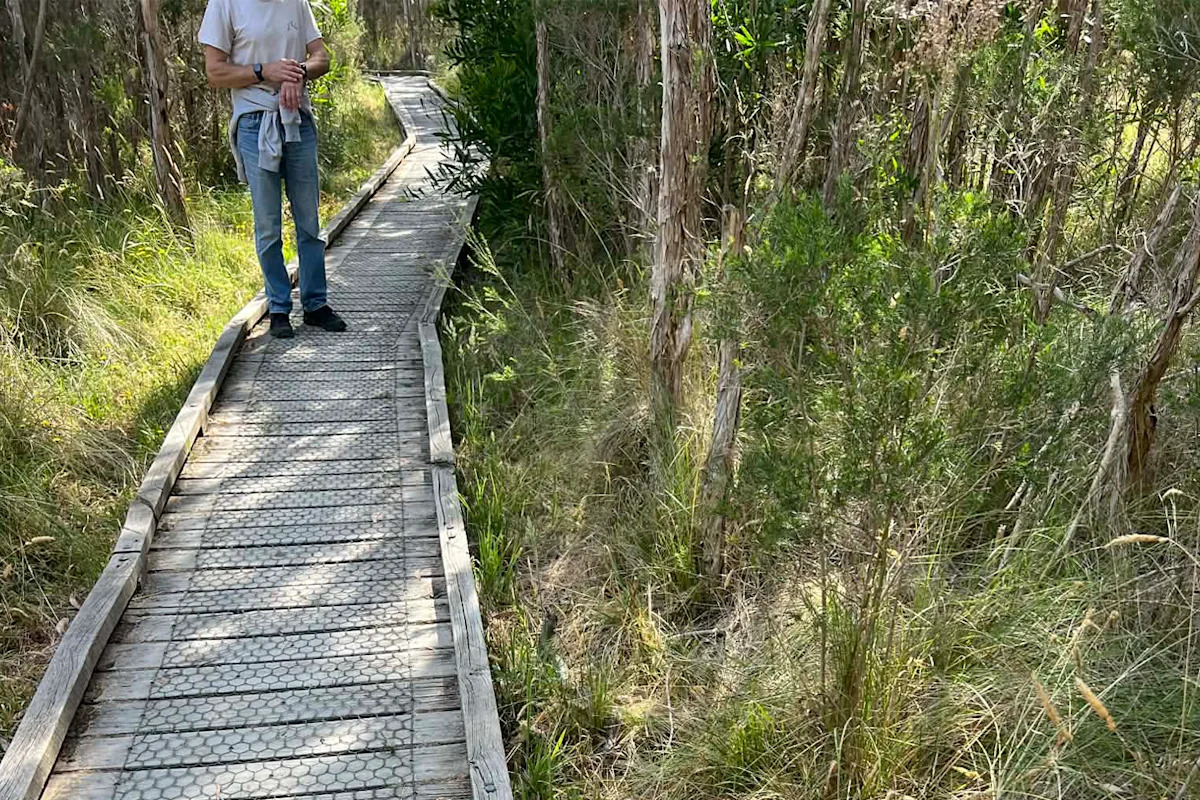 Walker spots camouflaged snake in Aussie bush most people can't see: 'Yikes, it's big'