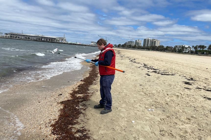 water quality Trent Renshaw EPA South Melbourne beach