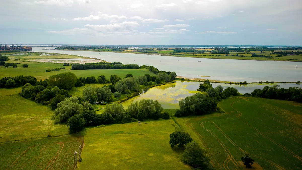 Yahoo lifestyle home