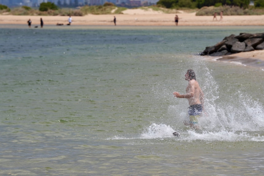 Man cooling off in the water at Brighton Beach, Melbourne