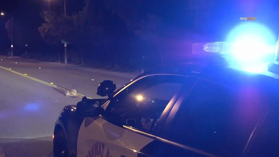 An injured mountain lion cub is seen in the roadway in Castaic before running off. January 2026. (RMG)