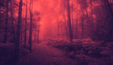 Biophobia Is on the Rise, and It's Ruining Everything