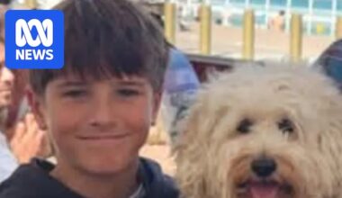 Nico Antic, 12yo boy attacked by shark at Sydney beach, dies in hospital