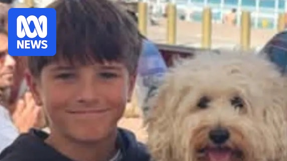 Nico Antic, 12yo boy attacked by shark at Sydney beach, dies in hospital