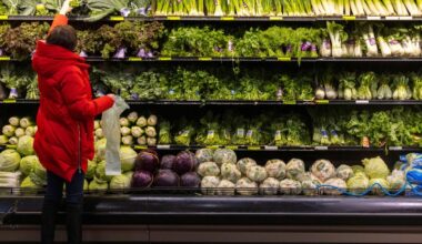 US producer prices accelerate in December on services