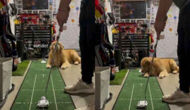 Yahoo lifestyle home