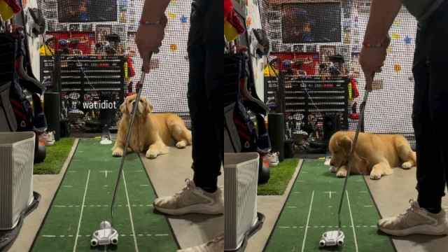 Yahoo lifestyle home